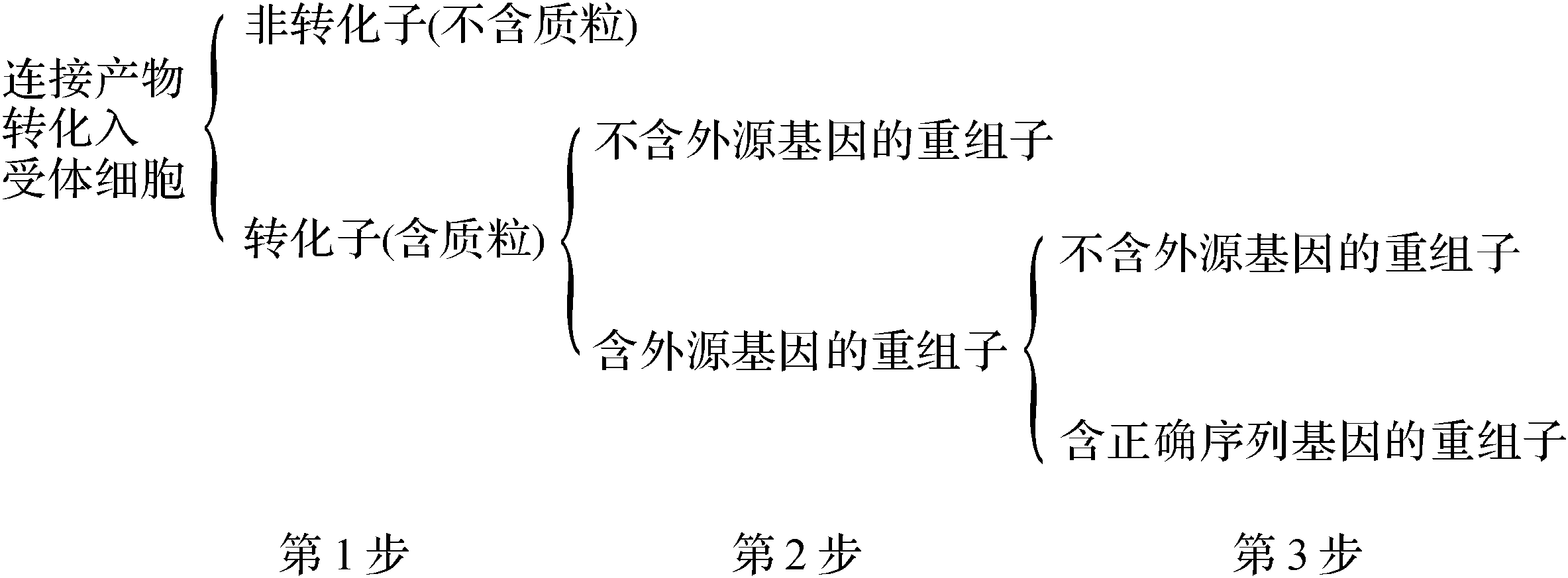 第一節(jié) 基本原理